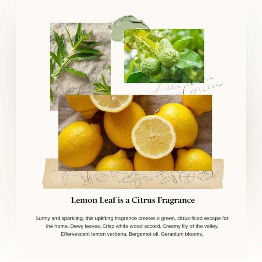 Thymes Lemon Leaf Pura Smart Home Plug-in Diffuser Refills - Pack of 2 - Picture 7 of 8